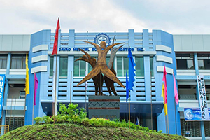 Davao Medical School Foundation, Inc.